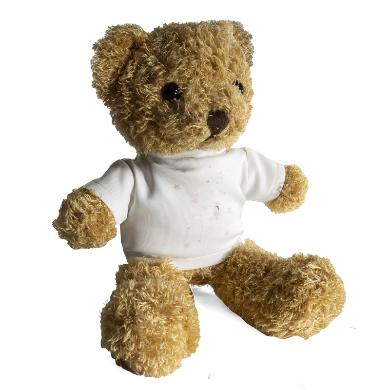 Teddy Bear Plush Toy